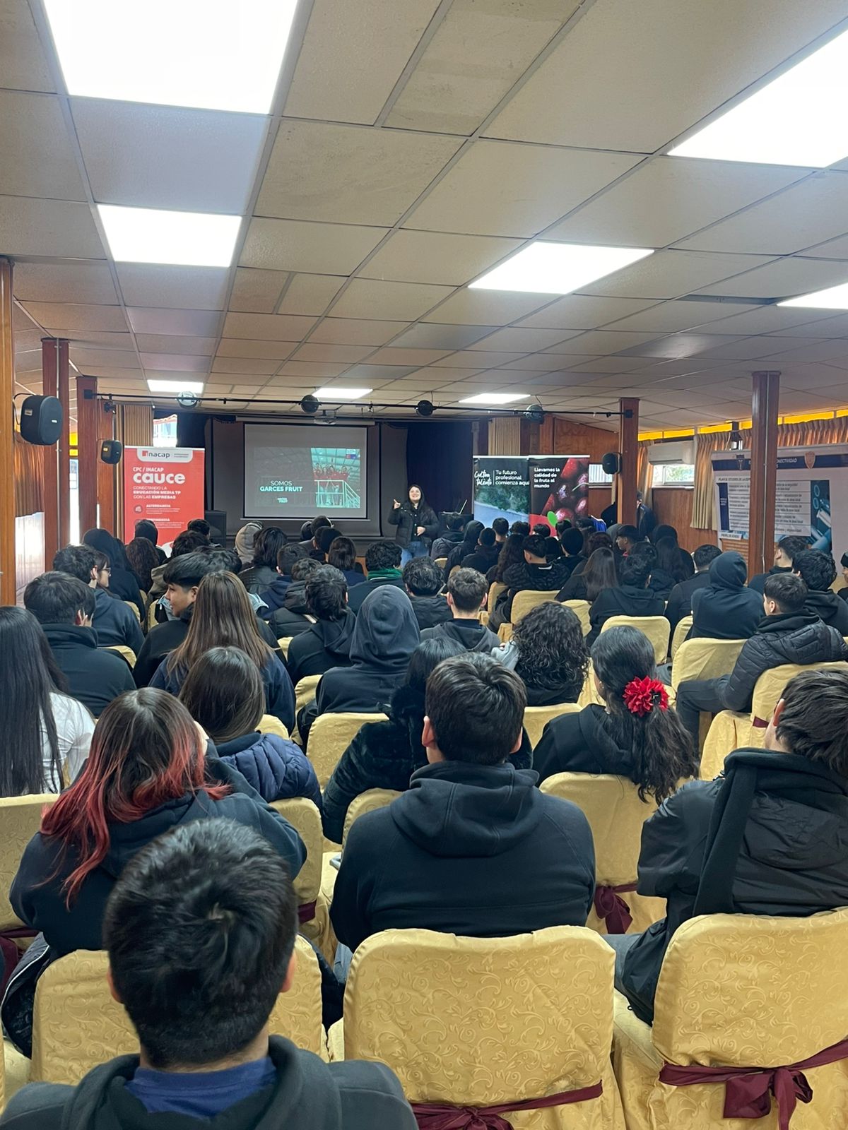 Imagen 7