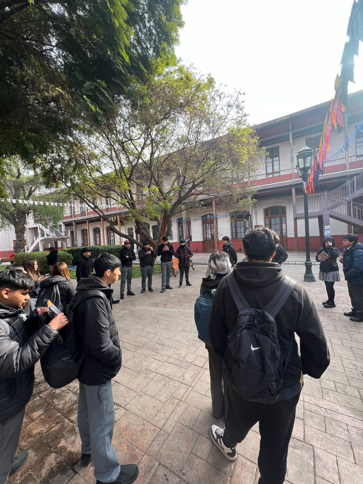 Imagen 5