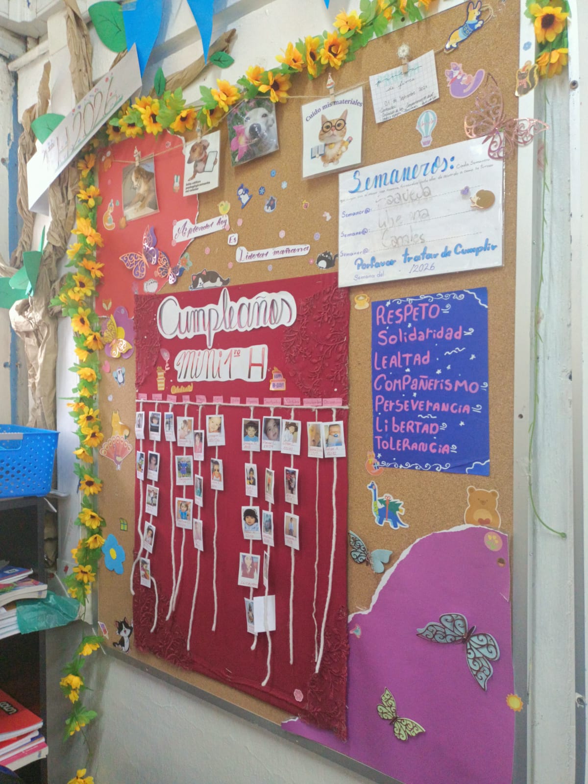 Imagen 2